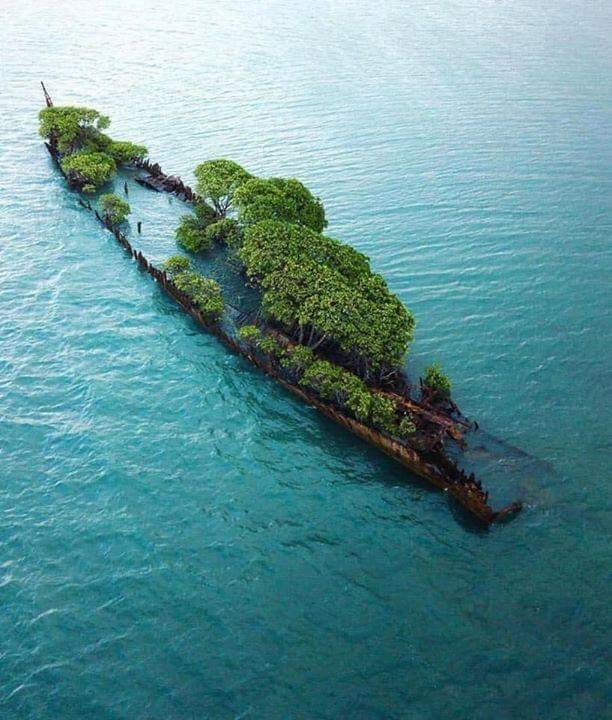 A wrecked ship taken over by nature, Australia