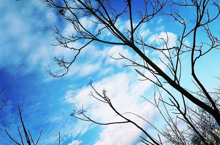 Sky