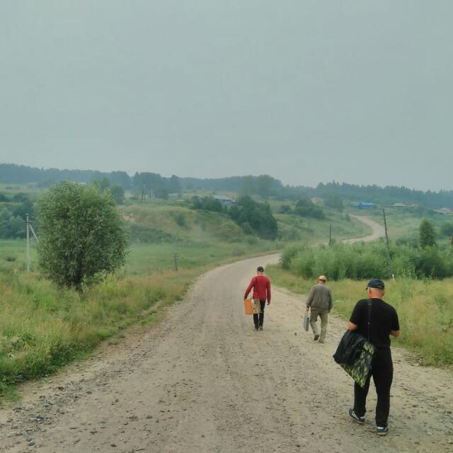 дорога