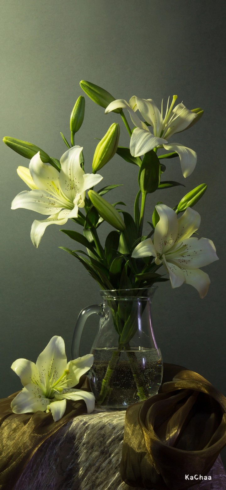 vase