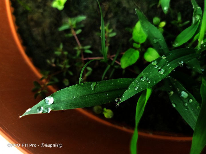 water drops