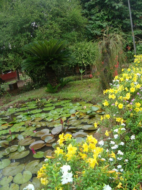 Flora Pond