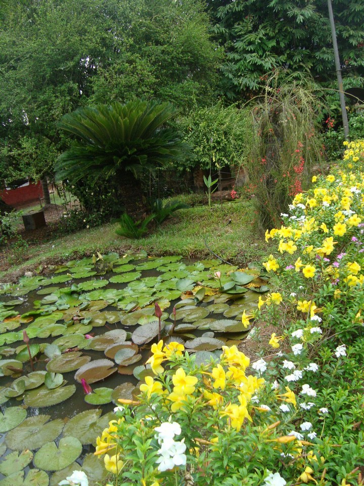 Flora Pond