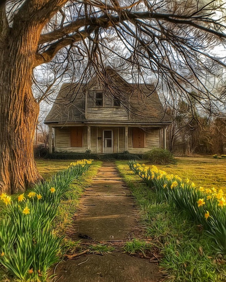 house