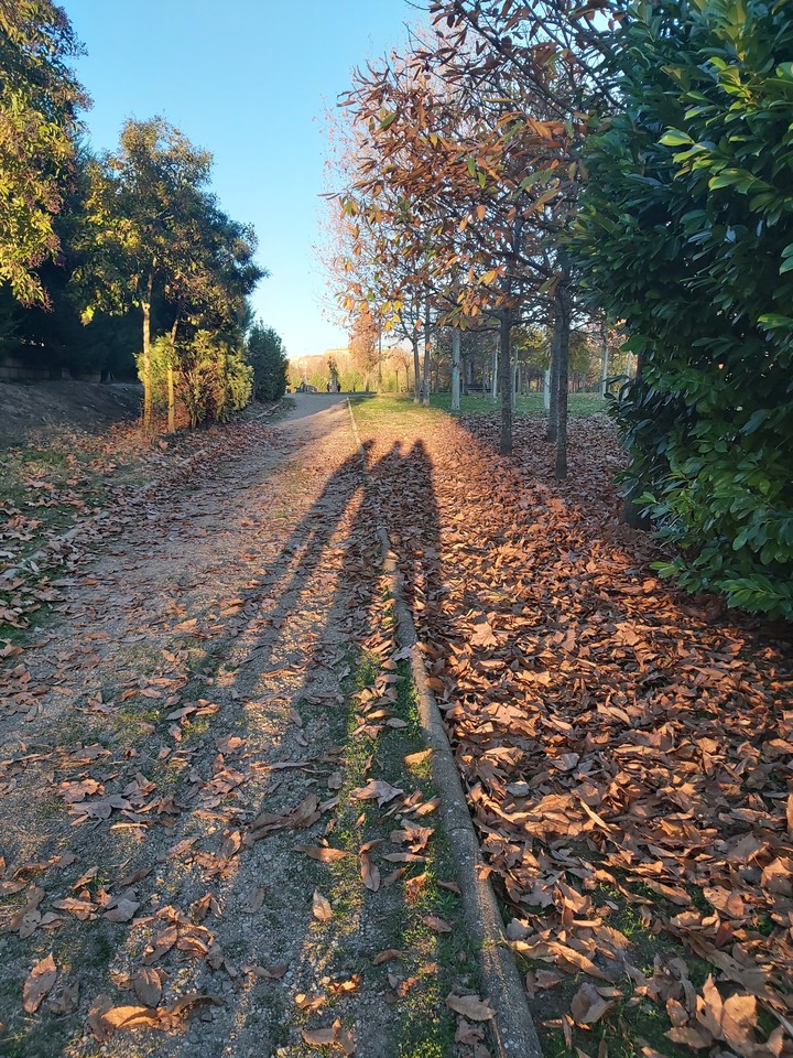 Sombra de otoño