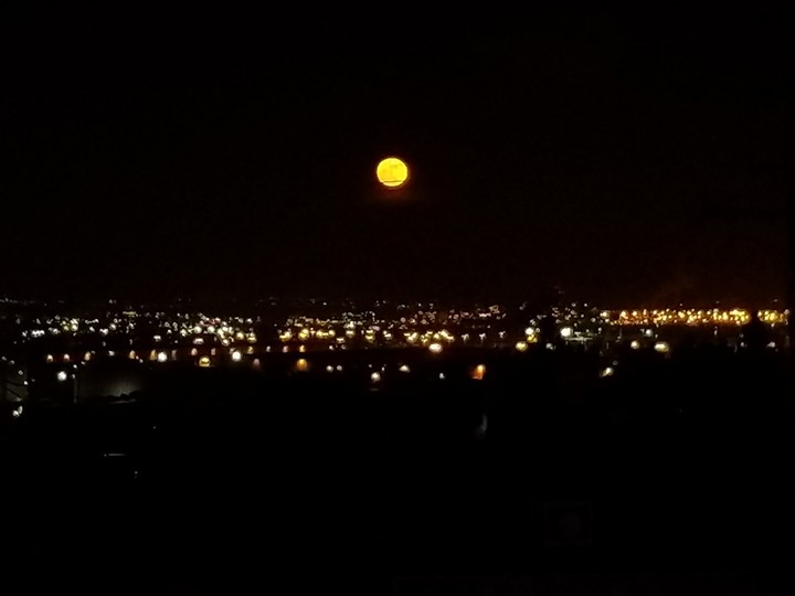 Harvest Moon
