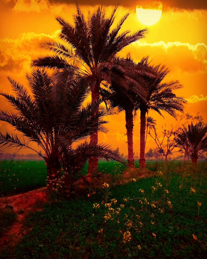 ansar village