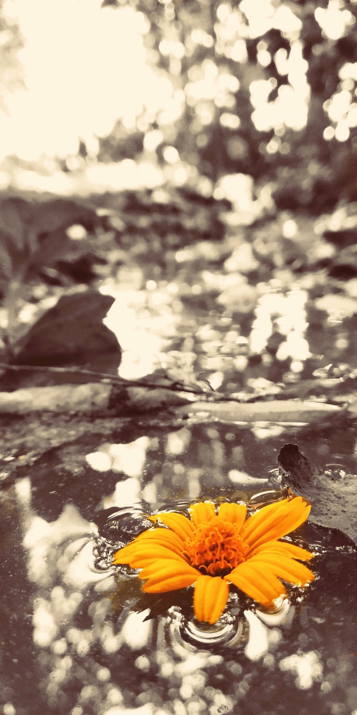 Nature