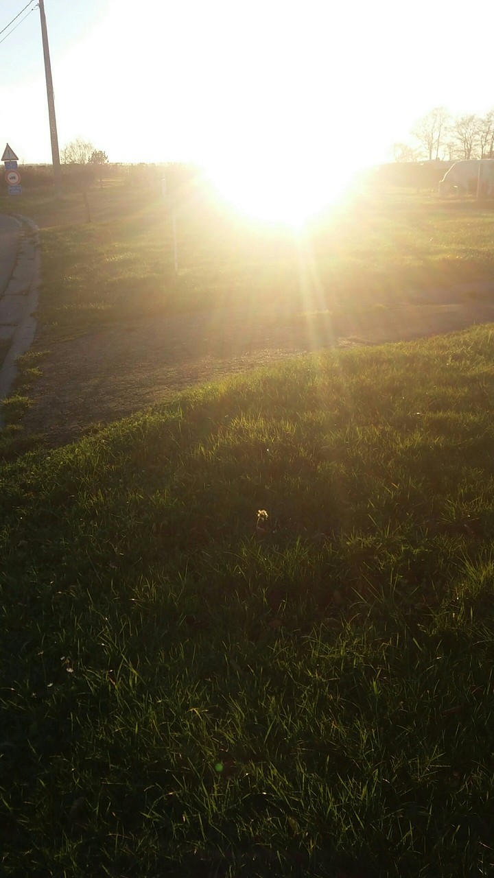 couché de soleil