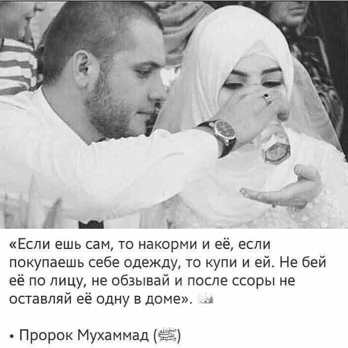 цитаты