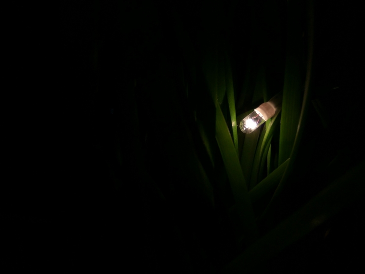 small_glow