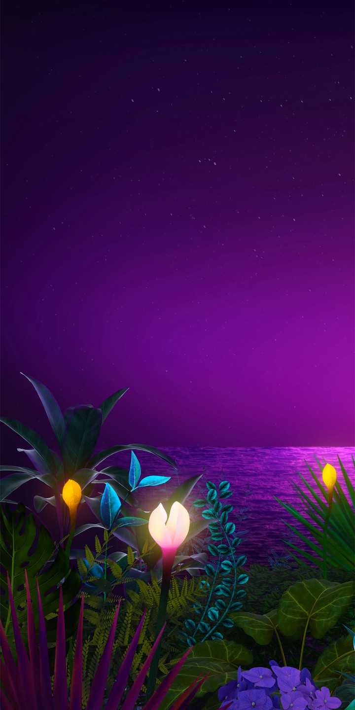 fondo Purple