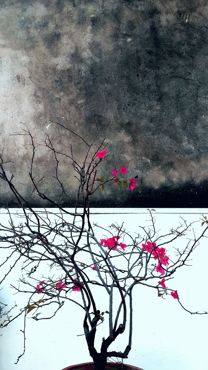 winter