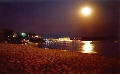 didim