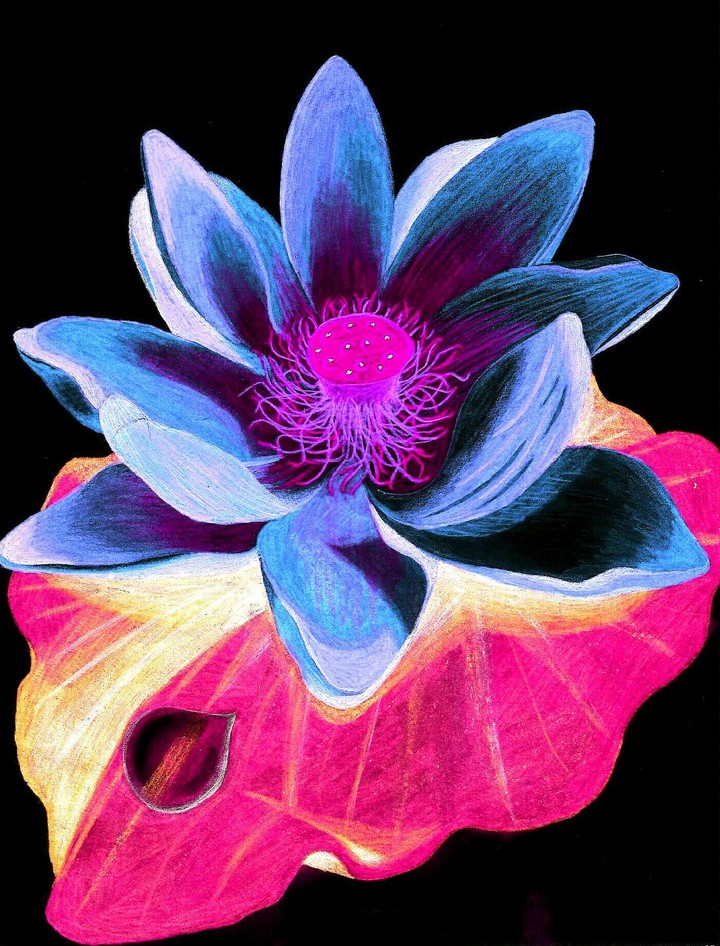Neon Lotus