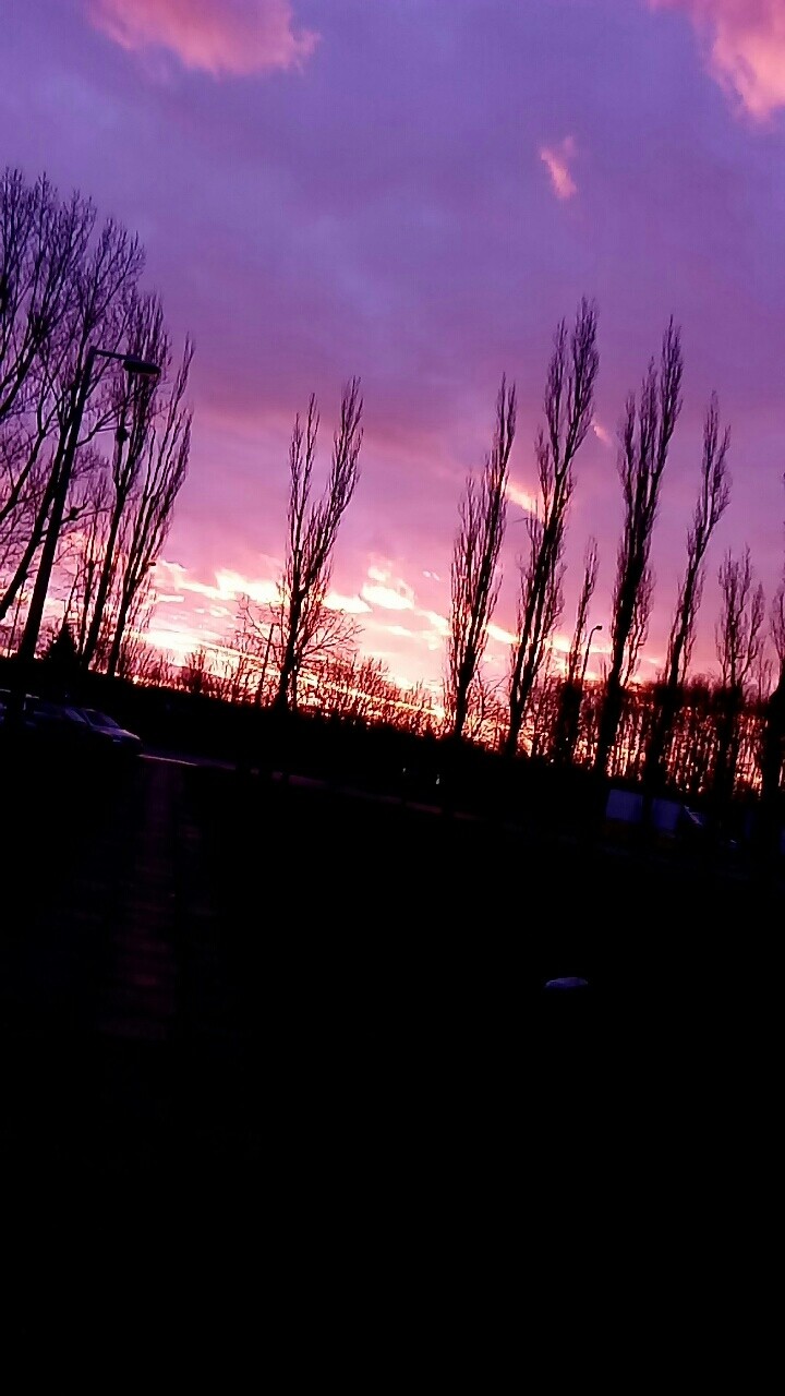 noo pięknie