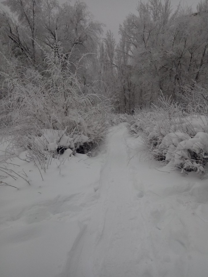 Winter