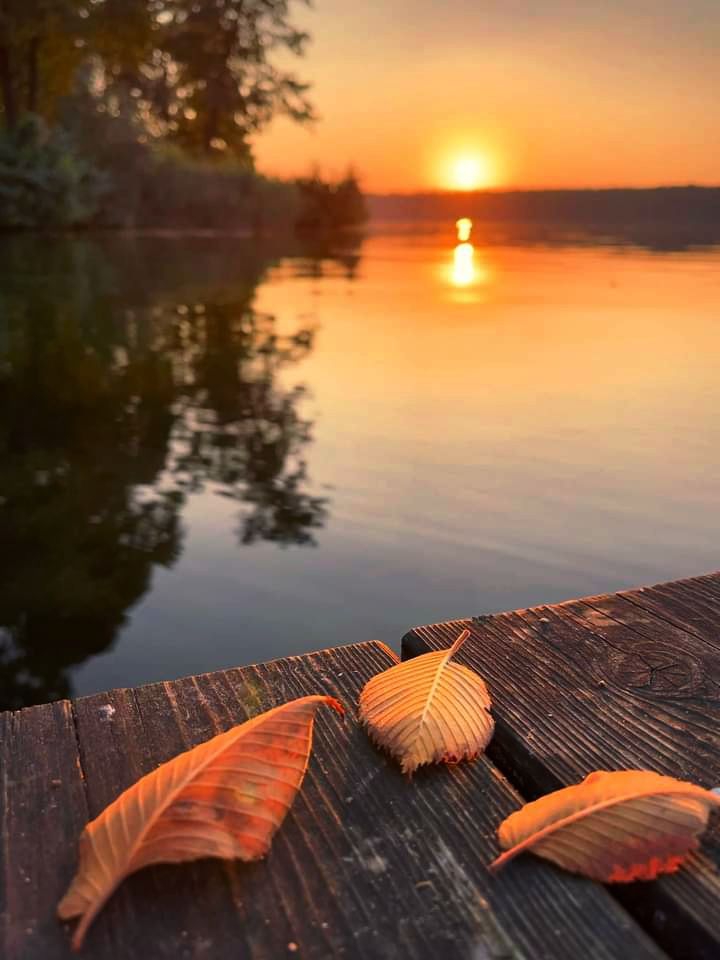 Dusk