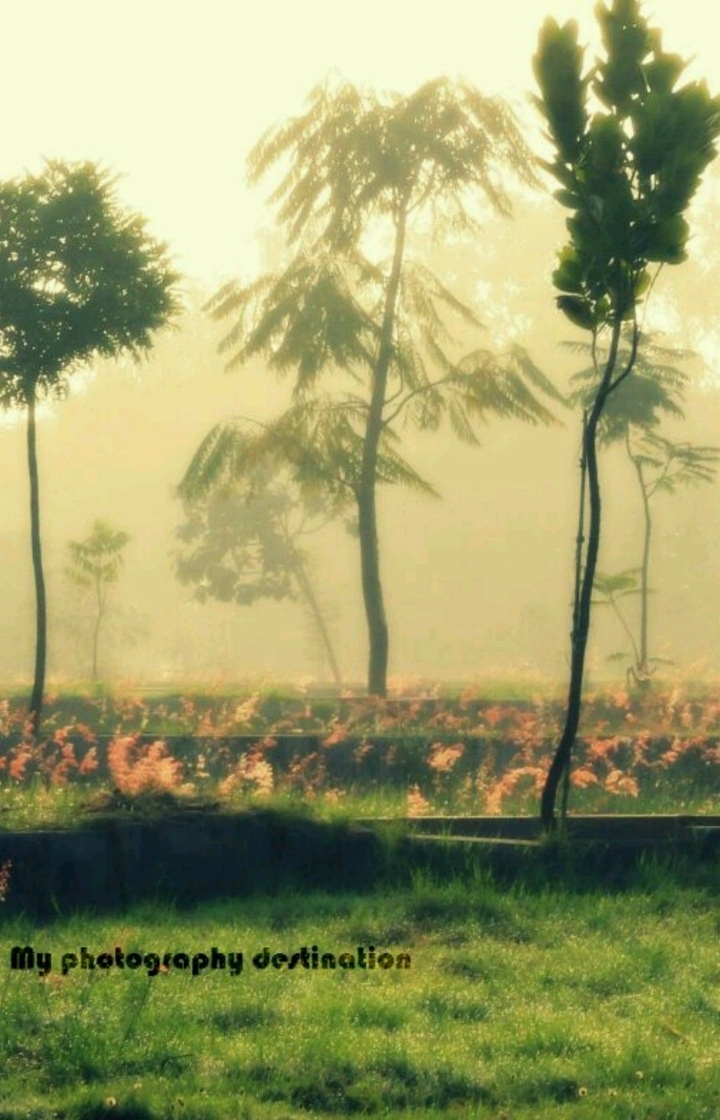 Moisty Morning