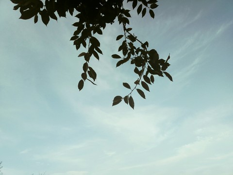 Небо