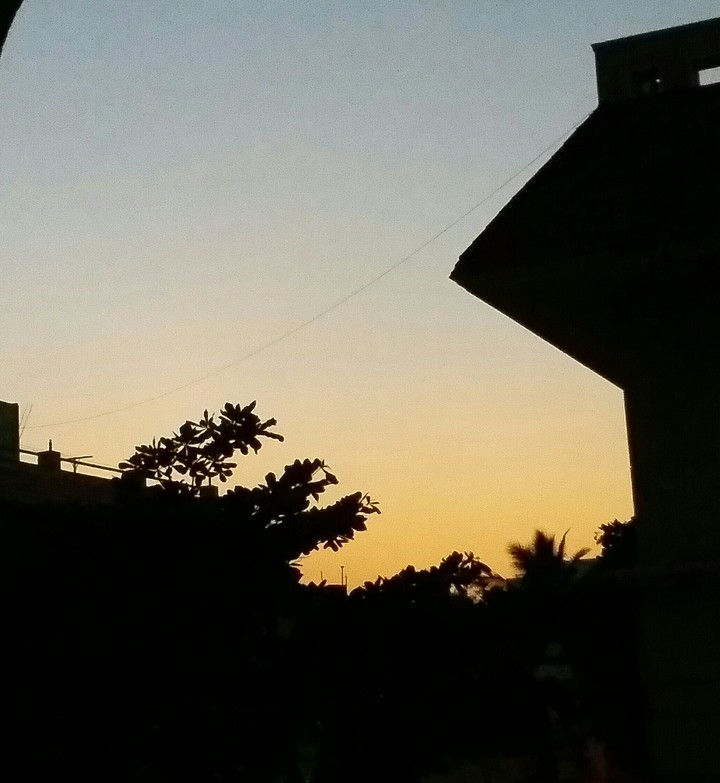 evening ......