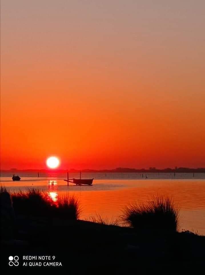 sun