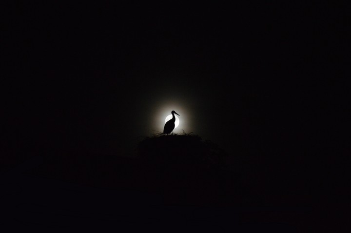 In The Dark