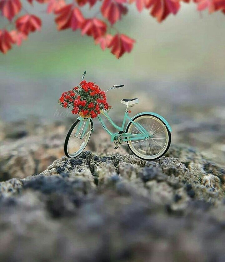 nice