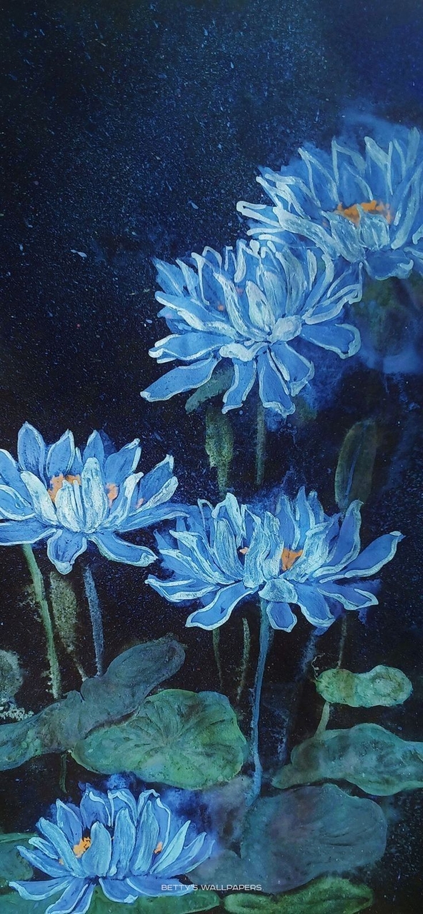 lotus, flower duvar kağıtları