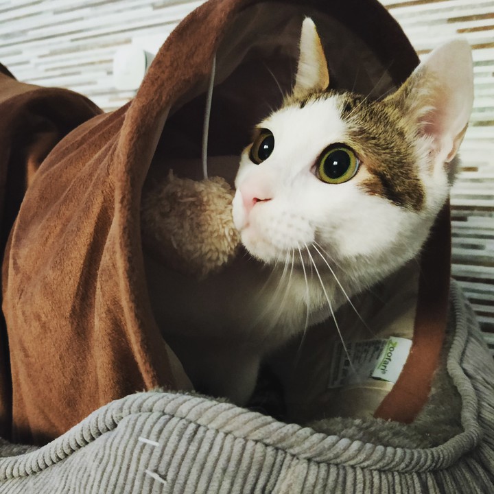 play time