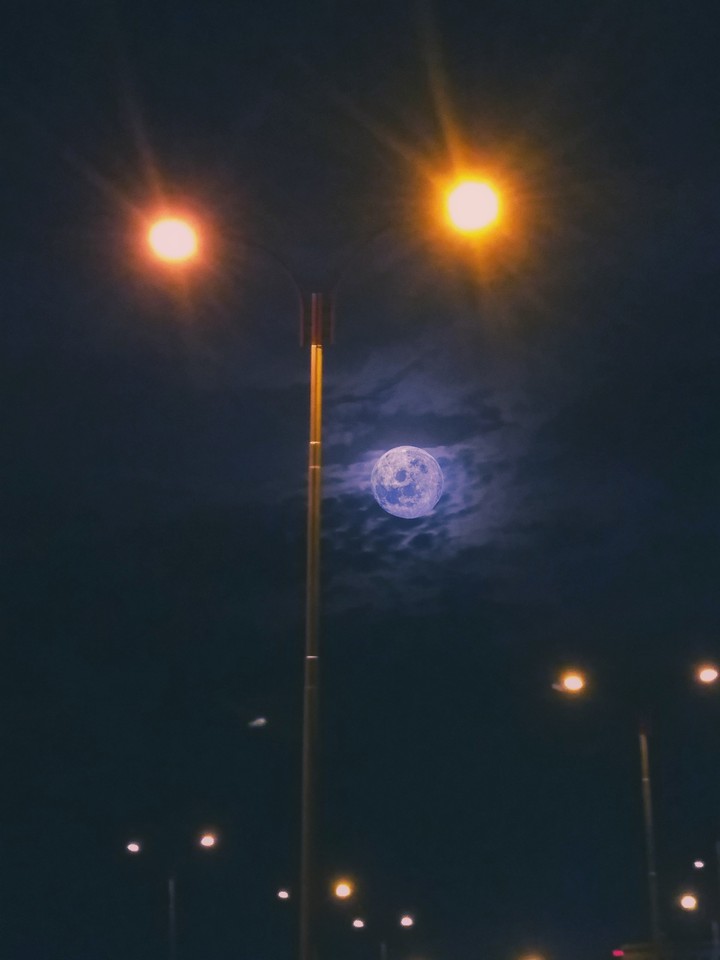 Pretty Night Moon