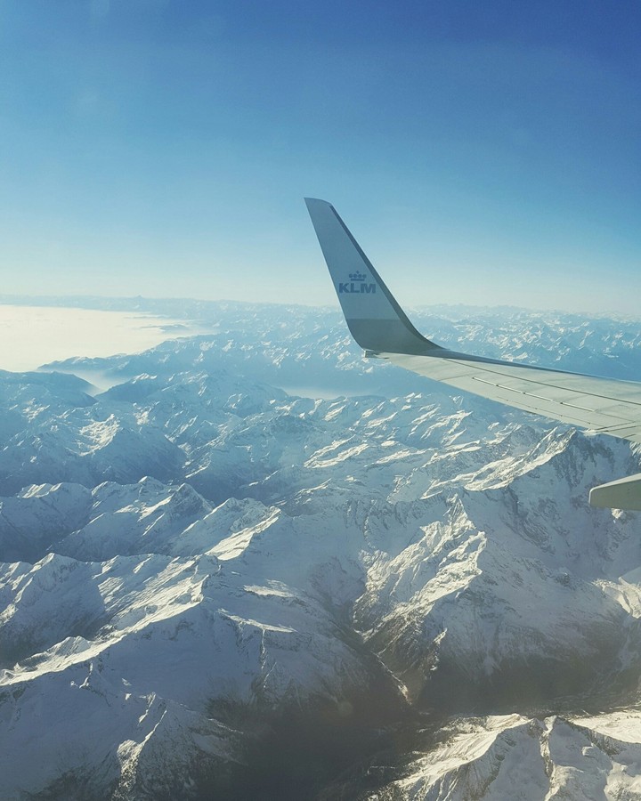✈flight ✈