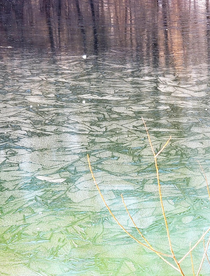 frozen pond