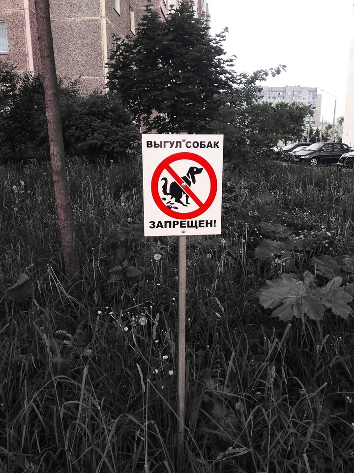 Don't walk with your dog... #Alina