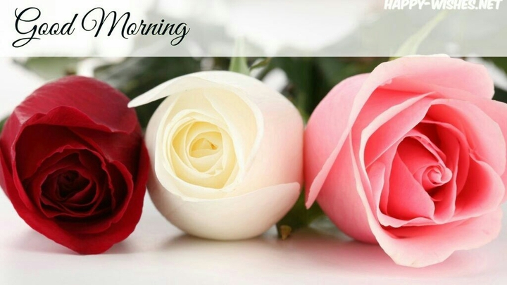 GM