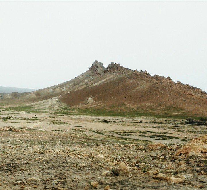 طبیعت