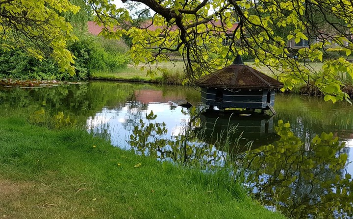nature