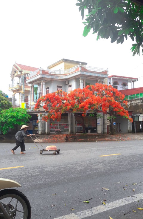 ký ức