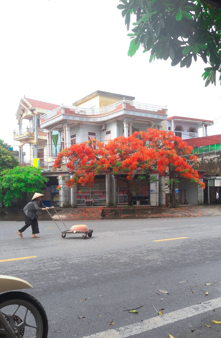 ký ức