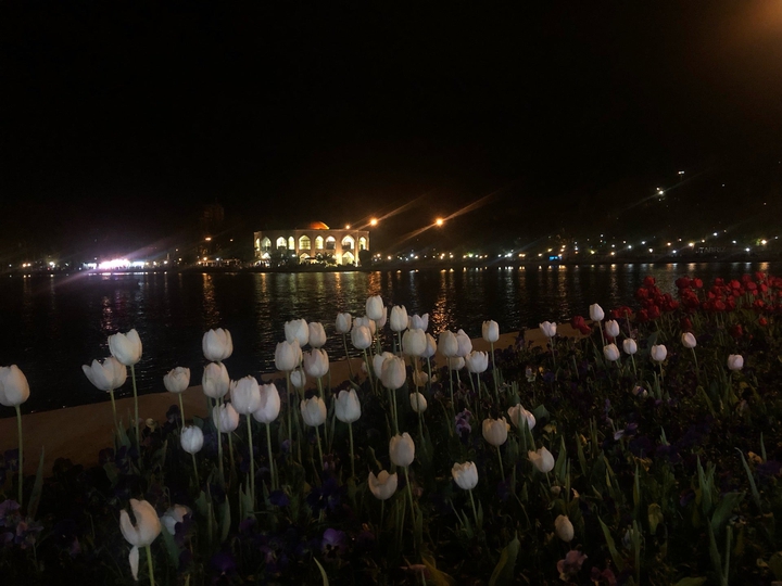 تبریز
