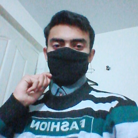 Adeel jaffri