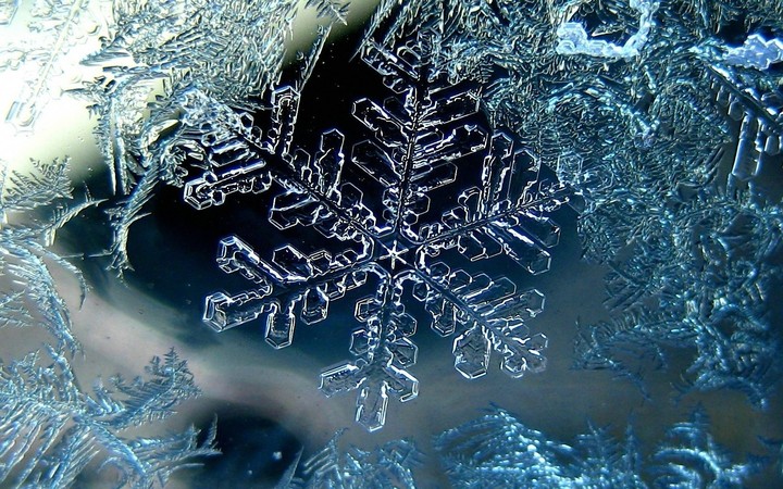 Зима уже близко! ❄⛄
