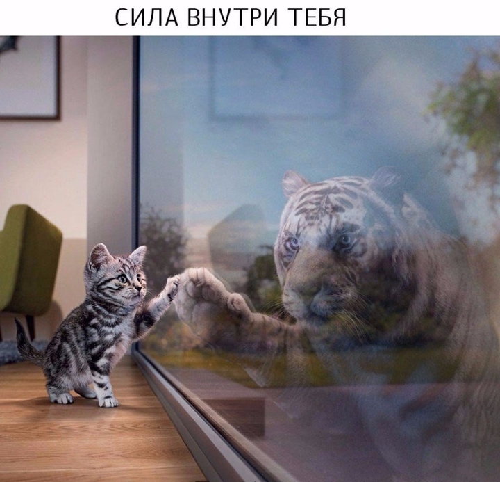 сила внутри тебя