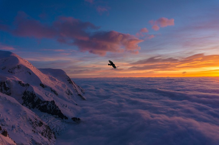 #Bird Wings Clouds