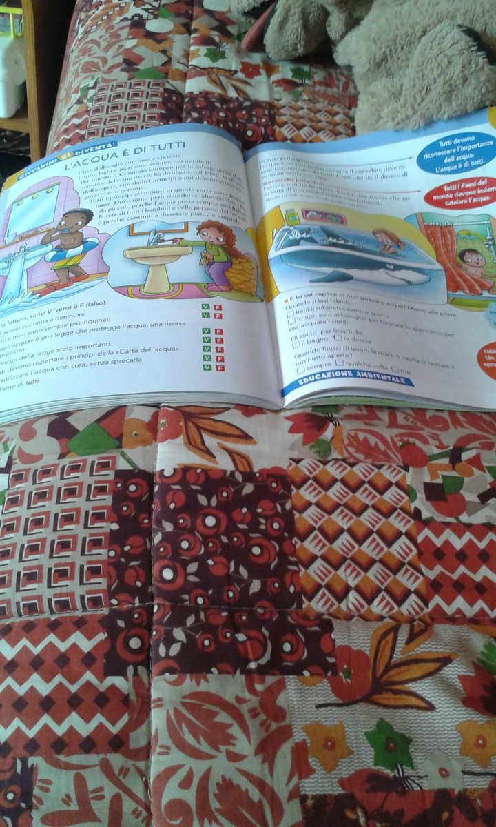 pagine