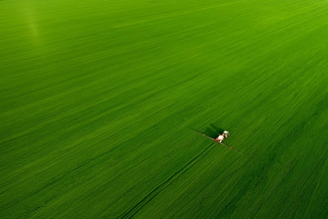 grassland, crop Hintergrundbilder