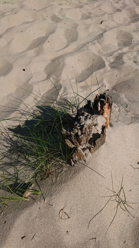 Åhus beach sand