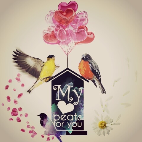 My Beats For You