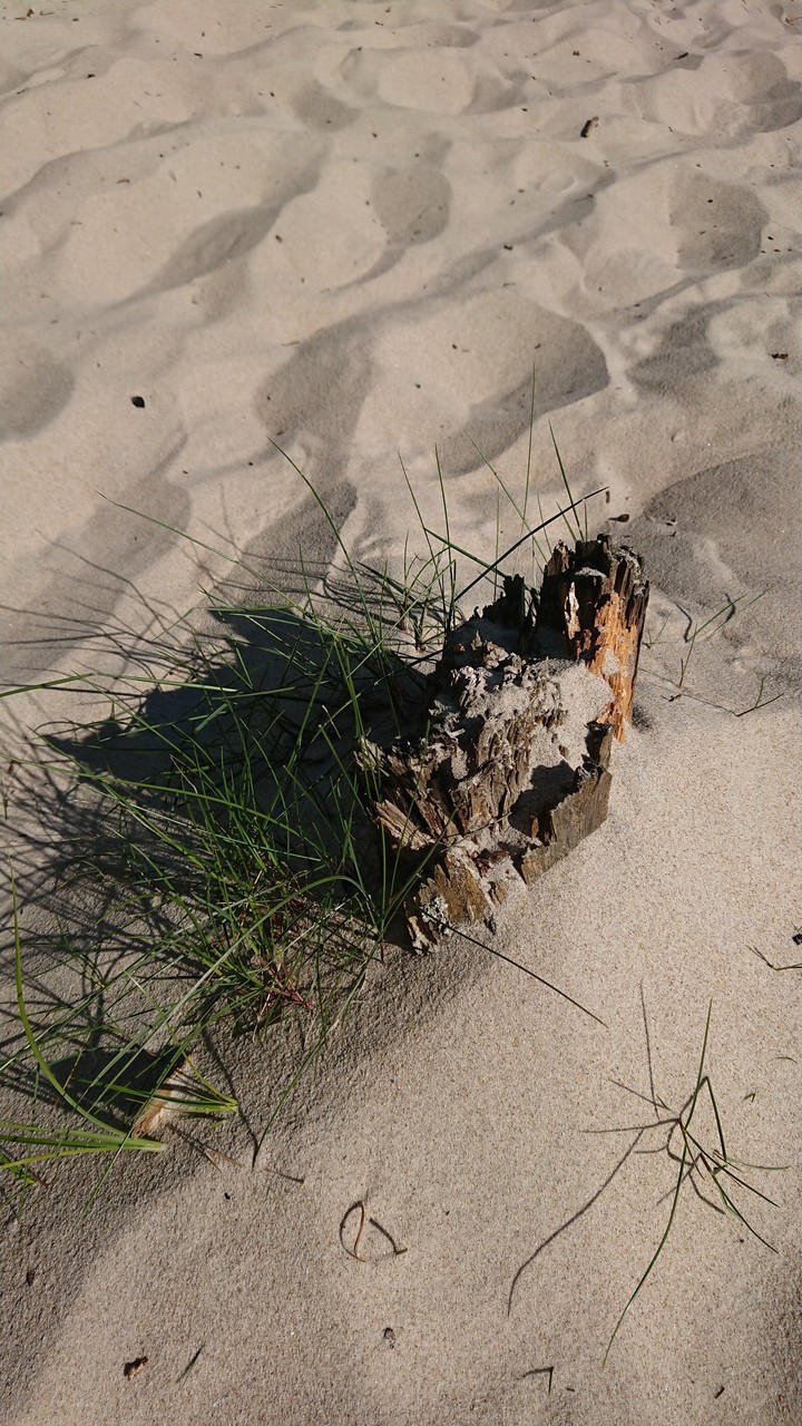 Åhus beach sand