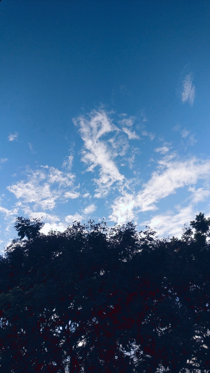 Scattered